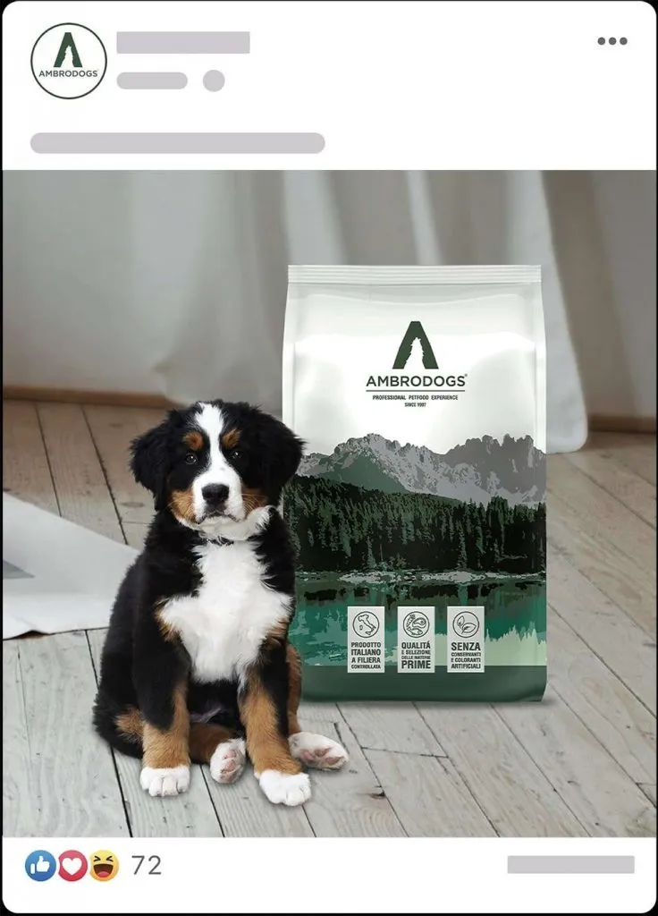 Grafica pubblicitaria di un brand di alimenti per cani