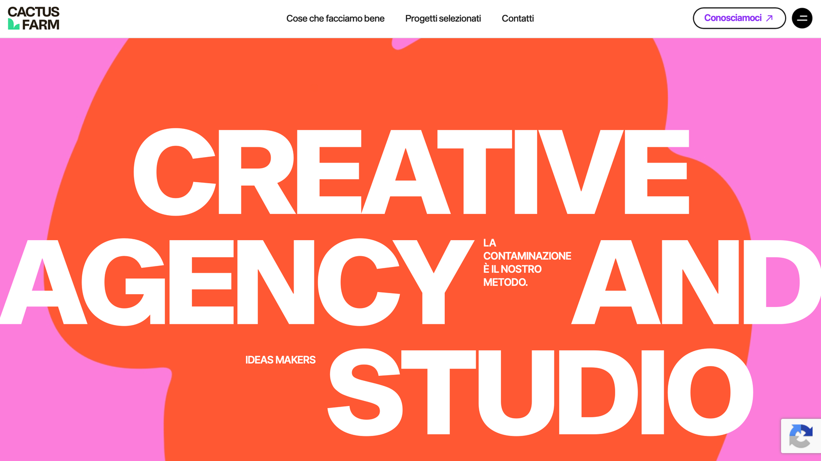 Cactus_agenzie eCommerce marketing Napoli