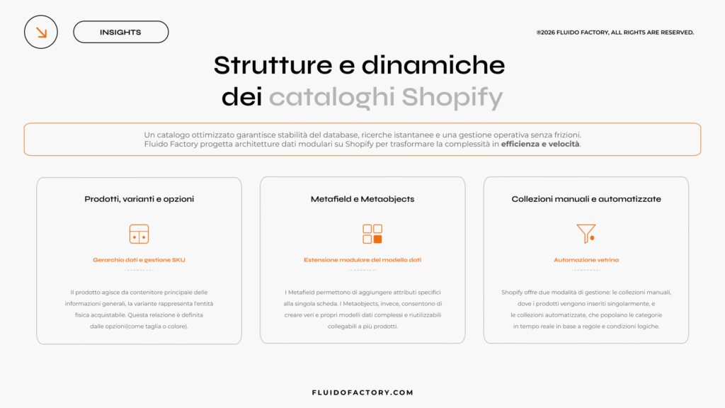 Struttura e dinamiche dei cataloghi Shopify 